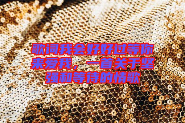 歌詞我會好好過等你來愛我，一首關(guān)于堅強和等待的情歌