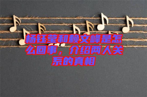 楊鈺瑩和賴文峰是怎么回事，介紹兩人關(guān)系的真相