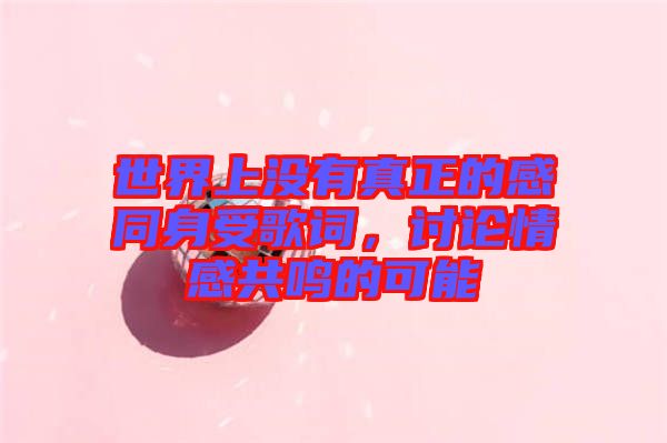 世界上沒(méi)有真正的感同身受歌詞，討論情感共鳴的可能
