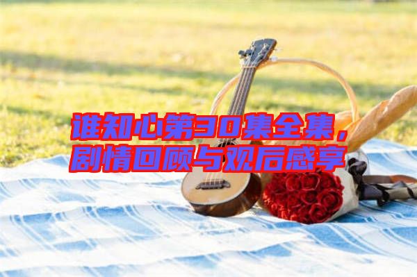 誰(shuí)知心第30集全集，劇情回顧與觀后感享