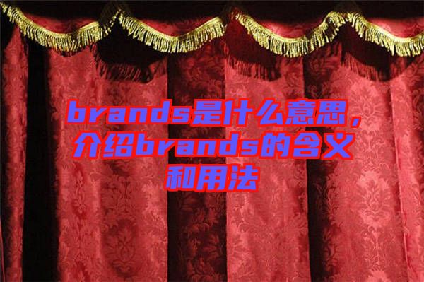 brands是什么意思，介紹brands的含義和用法