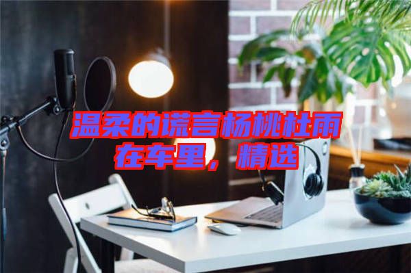 溫柔的謊言楊桃杜雨在車?yán)?，精選