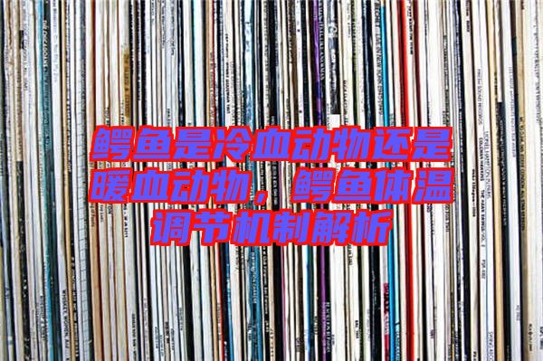 鱷魚是冷血動物還是暖血動物，鱷魚體溫調(diào)節(jié)機制解析