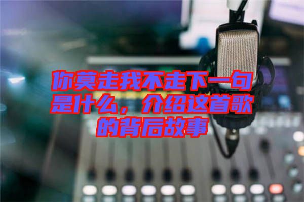 你莫走我不走下一句是什么，介紹這首歌的背后故事
