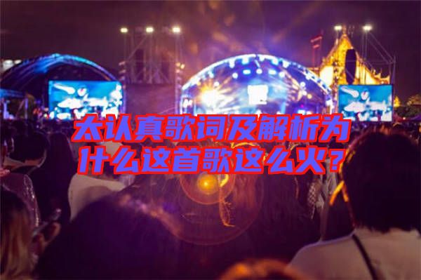 太認(rèn)真歌詞及解析為什么這首歌這么火？