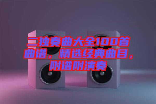 二獨(dú)奏曲大全100首曲譜，精選經(jīng)典曲目，附譜附演奏