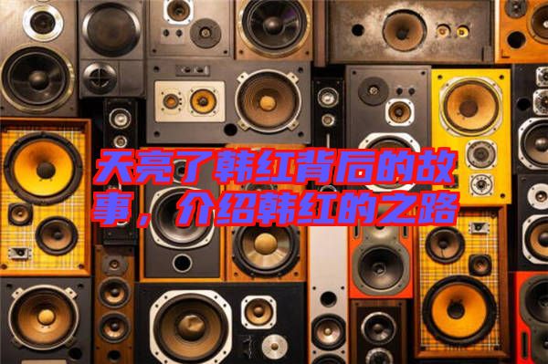 天亮了韓紅背后的故事，介紹韓紅的之路