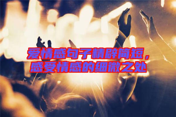 愛情感句子精辟簡短，感受情感的細微之處