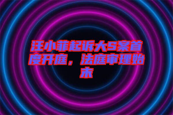 汪小菲起訴大S案首度開庭，法庭審理始末