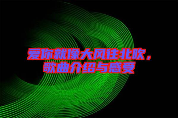 愛你就像大風(fēng)往北吹，歌曲介紹與感受