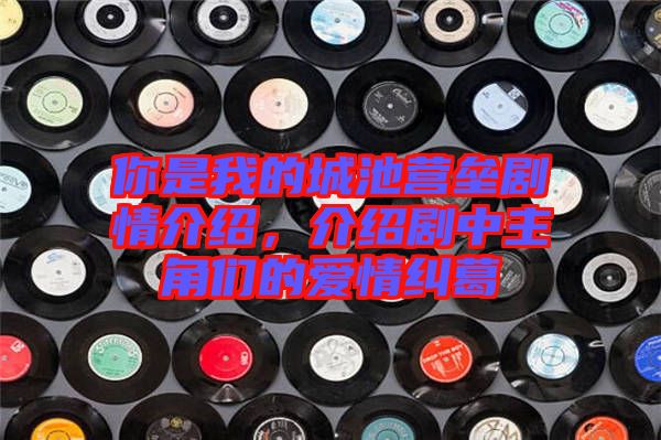 你是我的城池營(yíng)壘劇情介紹，介紹劇中主角們的愛(ài)情糾葛