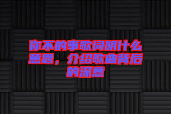 你不的事歌詞明什么意思，介紹歌曲背后的深意