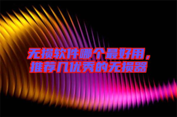 無損軟件哪個最好用，推薦幾優(yōu)秀的無損器