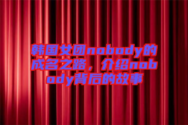 韓國女團(tuán)nobody的成名之路，介紹nobody背后的故事