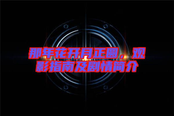 那年花開月正圓，觀影指南及劇情簡介