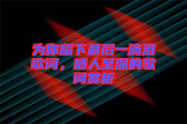 為你留下最后一滴淚歌詞，感人至深的歌詞賞析