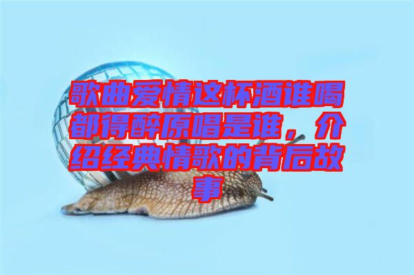 歌曲愛情這杯酒誰喝都得醉原唱是誰，介紹經(jīng)典情歌的背后故事