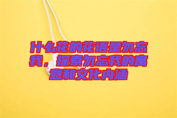 什么花的花語是勿忘我，探索勿忘我的寓意和文化內(nèi)涵