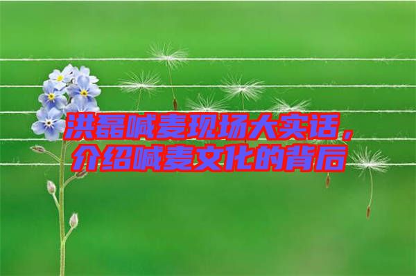 洪磊喊麥現(xiàn)場(chǎng)大實(shí)話，介紹喊麥文化的背后