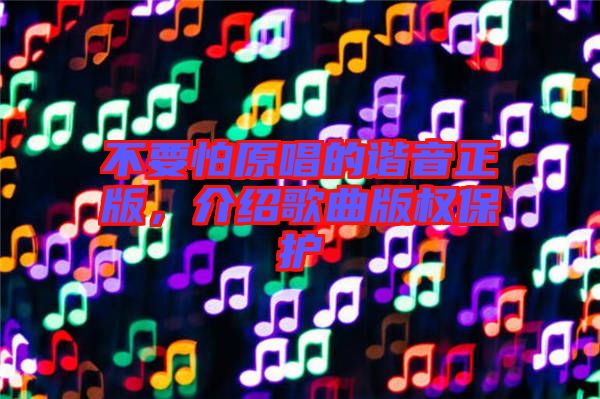 不要怕原唱的諧音正版，介紹歌曲版權保護