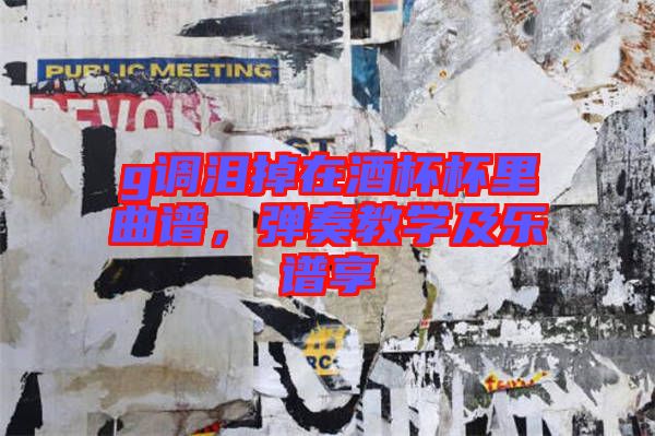 g調(diào)淚掉在酒杯杯里曲譜，彈奏教學(xué)及樂譜享