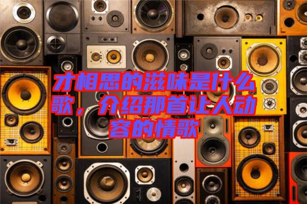 才相思的滋味是什么歌，介紹那首讓人動容的情歌