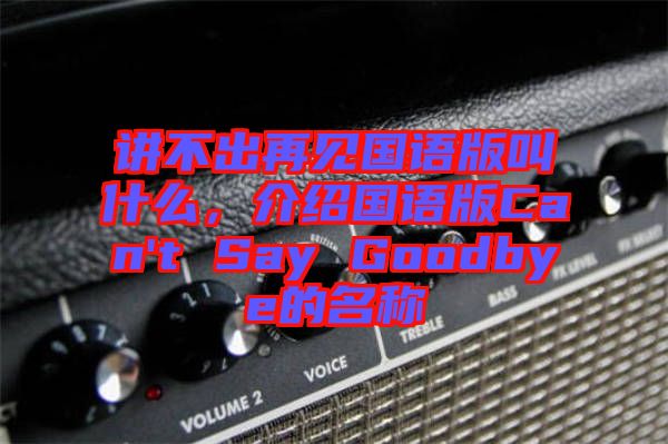 講不出再見國(guó)語版叫什么，介紹國(guó)語版Can't Say Goodbye的名稱