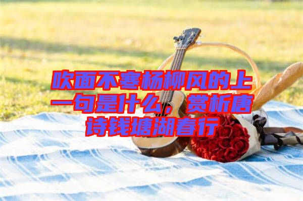 吹面不寒楊柳風的上一句是什么，賞析唐詩錢塘湖春行