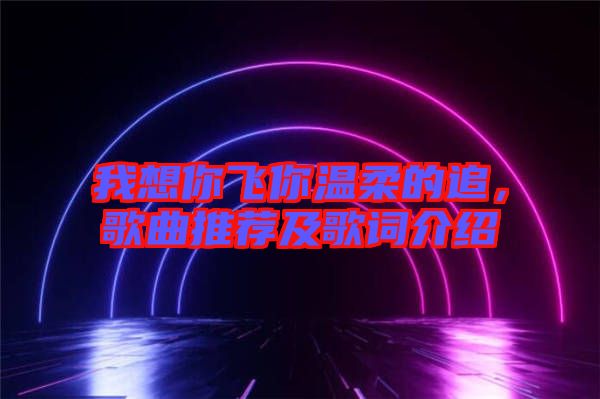 我想你飛你溫柔的追，歌曲推薦及歌詞介紹
