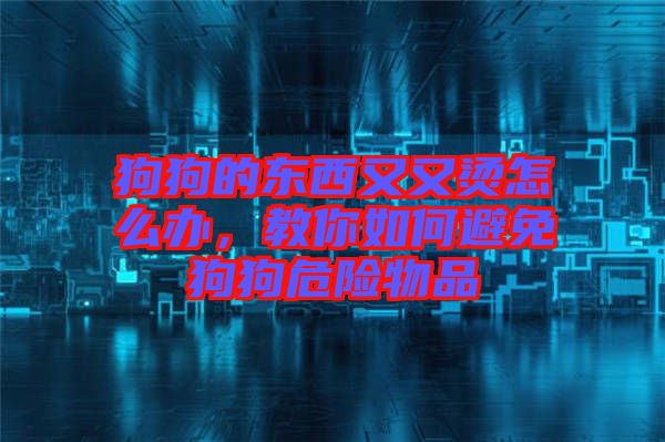 狗狗的東西又又燙怎么辦，教你如何避免狗狗危險物品
