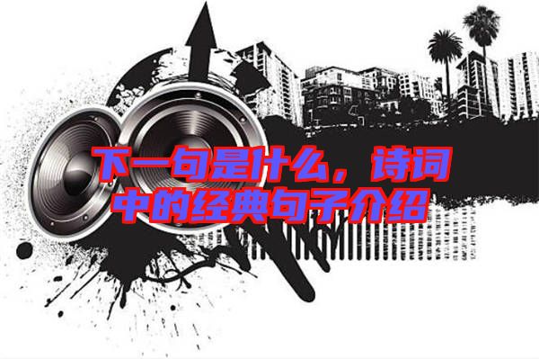 下一句是什么，詩(shī)詞中的經(jīng)典句子介紹