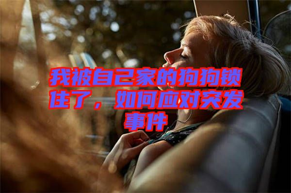 我被自己家的狗狗鎖住了，如何應(yīng)對(duì)突發(fā)事件