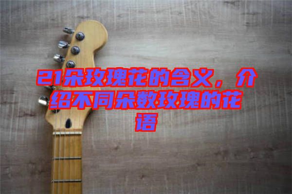 21朵玫瑰花的含義，介紹不同朵數(shù)玫瑰的花語