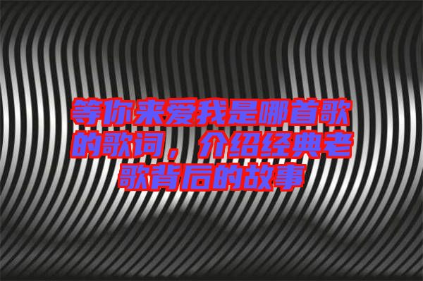 等你來愛我是哪首歌的歌詞，介紹經(jīng)典老歌背后的故事
