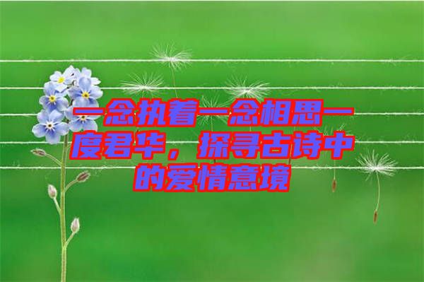 一念執(zhí)著一念相思一度君華，探尋古詩中的愛情意境