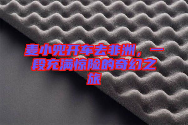 麥小兜開(kāi)車(chē)去非洲，一段充滿(mǎn)驚險(xiǎn)的奇幻之旅