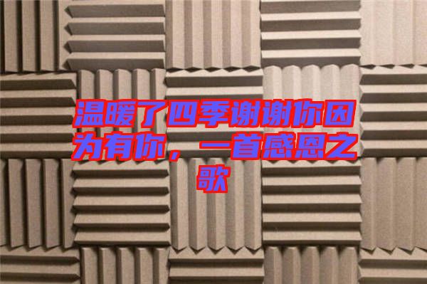 溫暖了四季謝謝你因?yàn)橛心?，一首感恩之? width=