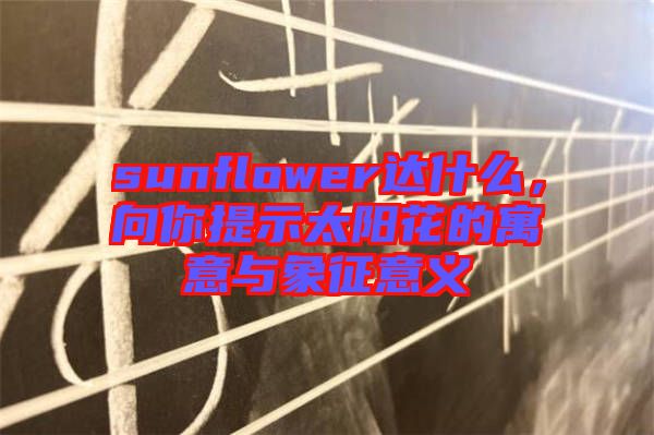 sunflower達(dá)什么，向你提示太陽花的寓意與象征意義