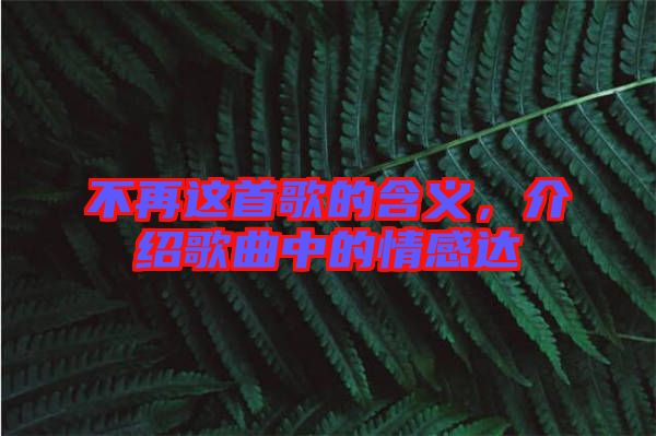不再這首歌的含義，介紹歌曲中的情感達(dá)