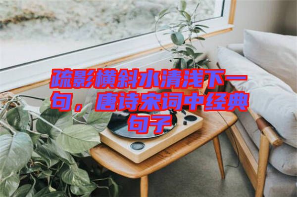 疏影橫斜水清淺下一句，唐詩宋詞中經(jīng)典句子