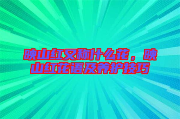 映山紅又稱(chēng)什么花，映山紅花語(yǔ)及養(yǎng)護(hù)技巧