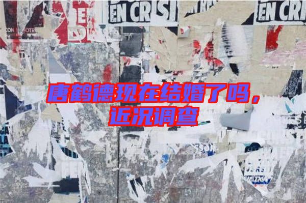 唐鶴德現(xiàn)在結(jié)婚了嗎，近況調(diào)查
