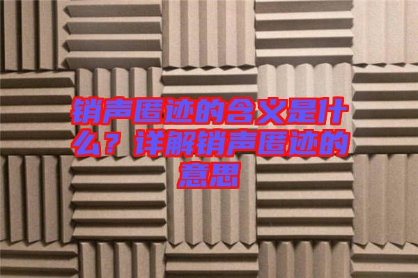 銷聲匿跡的含義是什么？詳解銷聲匿跡的意思