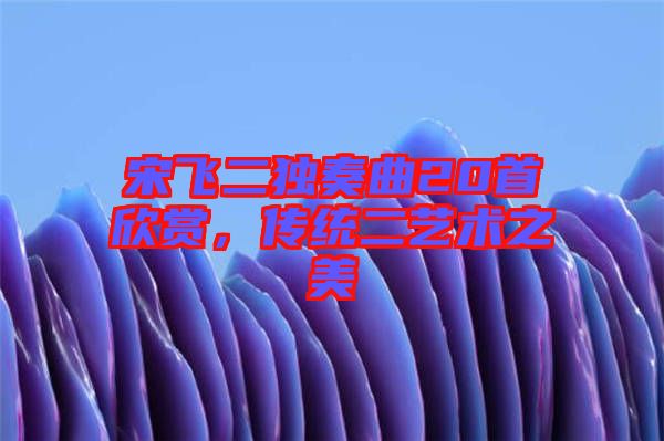 宋飛二獨奏曲20首欣賞，傳統(tǒng)二藝術之美