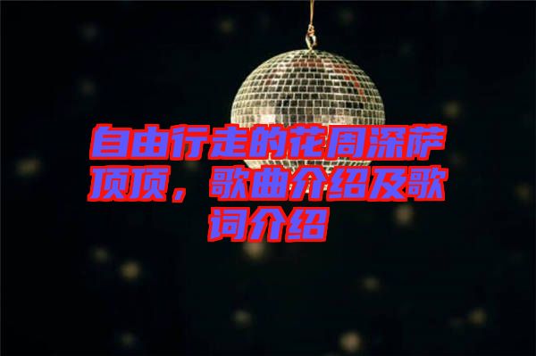 自由行走的花周深薩頂頂，歌曲介紹及歌詞介紹