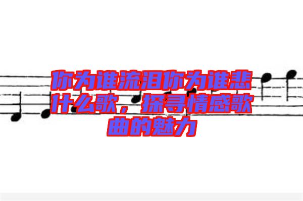 你為誰流淚你為誰悲什么歌，探尋情感歌曲的魅力