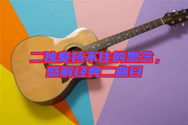 二獨(dú)奏擋不住的思念，感解經(jīng)典二曲目