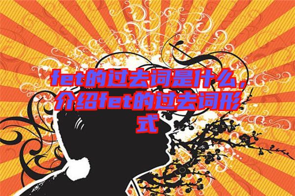 fet的過去詞是什么，介紹fet的過去詞形式