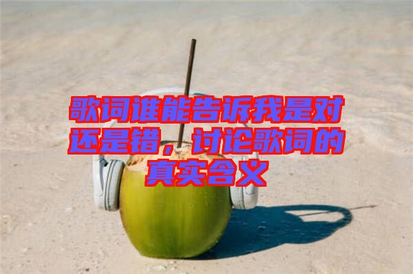 歌詞誰能告訴我是對還是錯，討論歌詞的真實含義