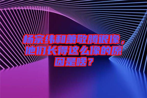 楊宗緯和蕭敬騰很像，他們長得這么像的原因是啥？